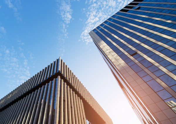 常州白蜡批发价格、常州白蜡厂家直销、常州白蜡行业报价、垂丝海棠、五角枫、北京栾、垂丝海棠、秋紫白蜡、西府海棠、法桐。